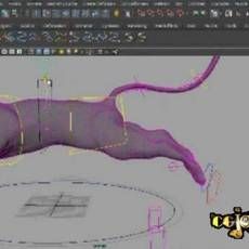 MAYAӶ󶨽̳  Enhanced IK Animal Rigging with FarleyChery