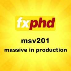 MassiveȺ鶯̳ Fxphd MSV201 Massive In Production