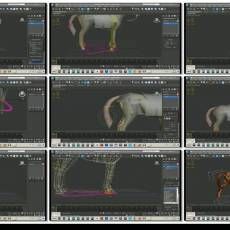 ʹCATRigging a Horse in 3ds max with a CAT Motion rig