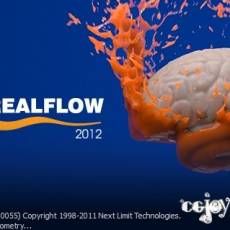 realFlow 2012 ƽ̨ӿڲ