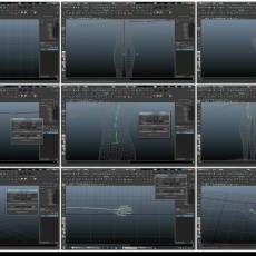 Maya ɫ--Ϊɫؽ4/6 Creating Joints for a Character Rig