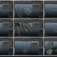 Maya ɫ--Ϊɫؽ5/6 Creating Joints for a Character Rig