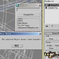 BonesPro2SkinűΪʲô