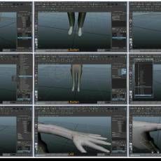 MAYAɫϸ̳Basic bipedal character rigging setup in Maya3/7