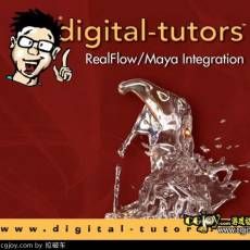 RealFlowMayaϽ̳ RealFlow and Maya Integration