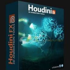 HoudiniӰЧV13.0.343