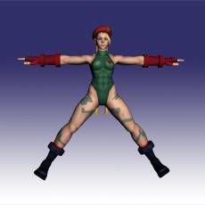 ͷ ְ Street Fighter IV CAMMY 