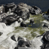 [Unreal Engine 4]逼真！流畅！流体交互-实时动态河流模拟