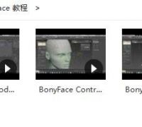 BonyFace 3.2.10 youtube720P̳